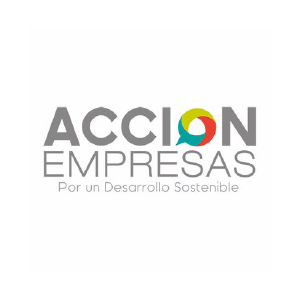 accion-icon