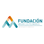 fundacion-icon