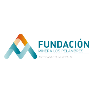 fundacion-icon