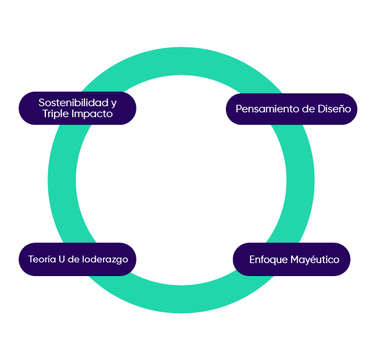 metodologia-Certificacion de mentores